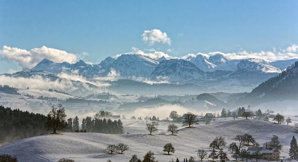 trees on snowy hills against the backdrop of highlands
