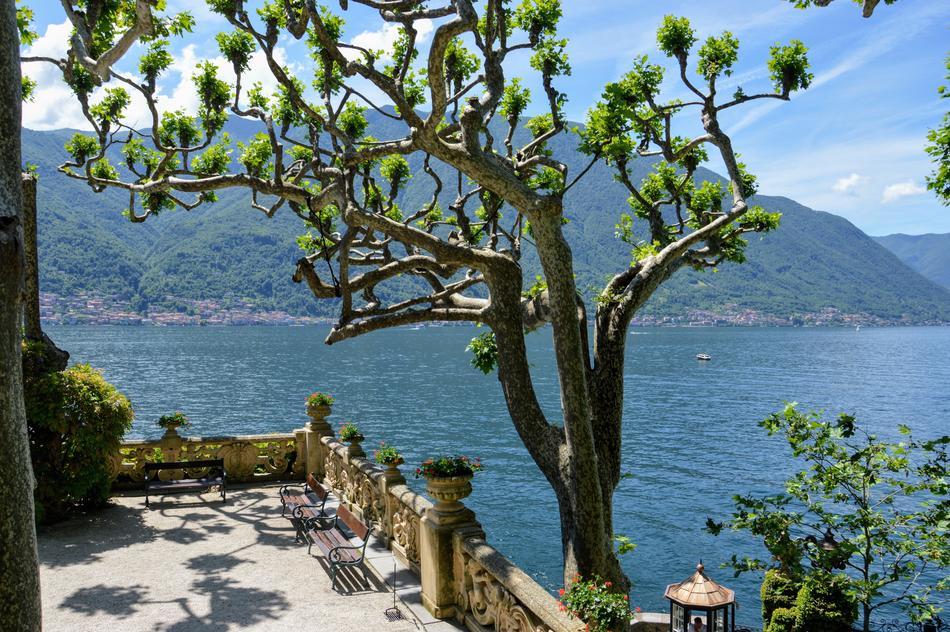 Lake Como Italy and green tree