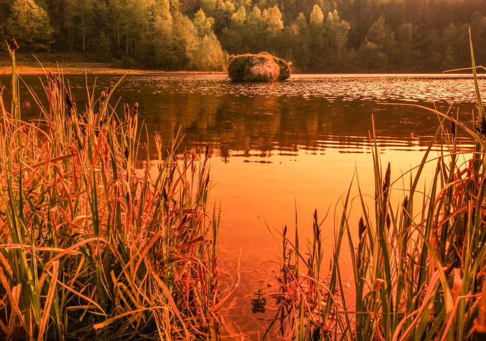 WKrufter Waldsee aters Nature