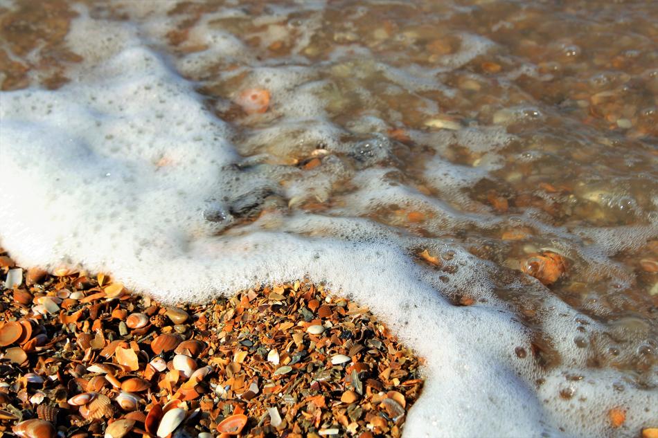 waves with foam on the beach with seashells