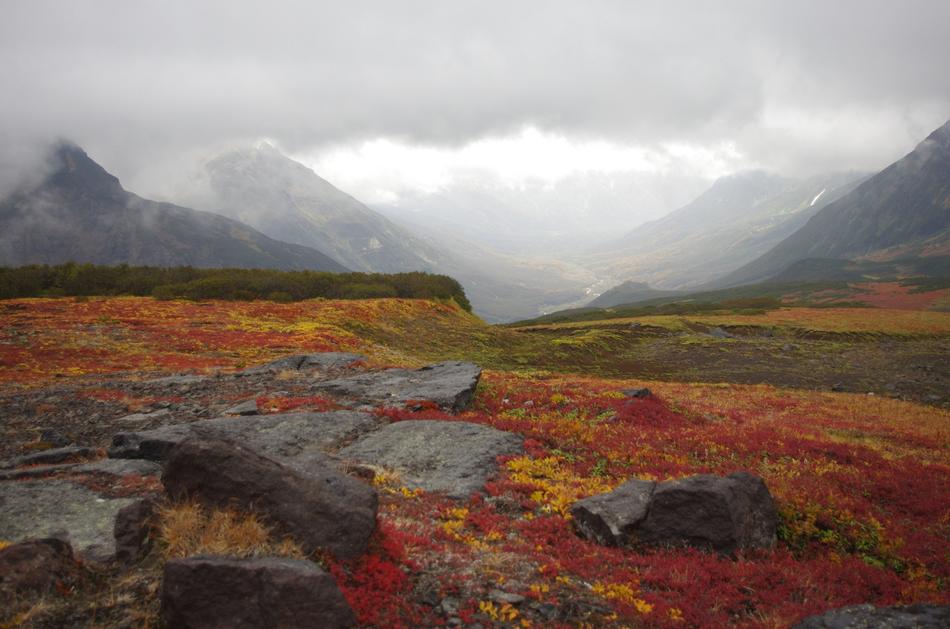 Beautiful and colorful landscape of the fields with rocks, on the mountains, in Mountain Tundra, under the clouds