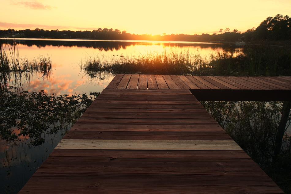 Beautiful, wooden jetty of the lake, among the plants, at colorful sunset