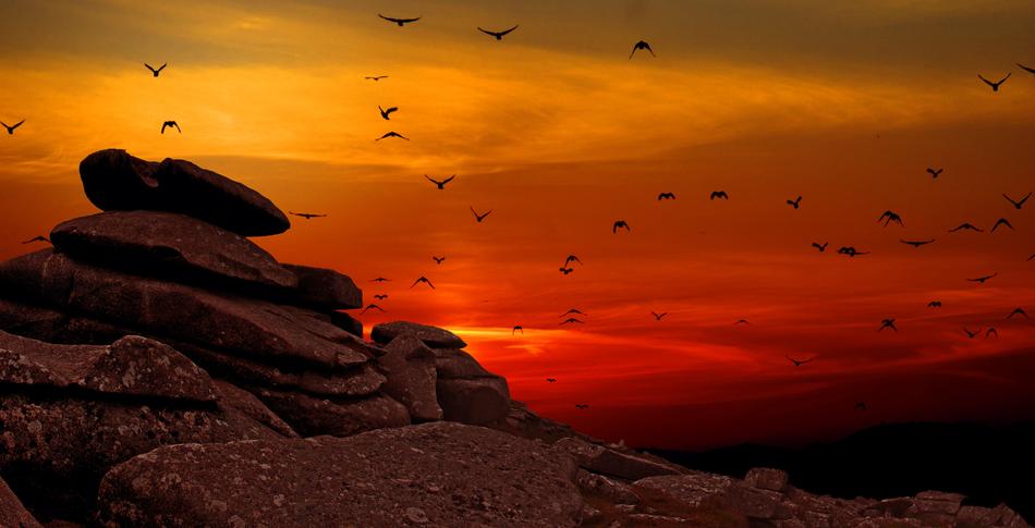 silhouettes of birds over rock formations at dusk