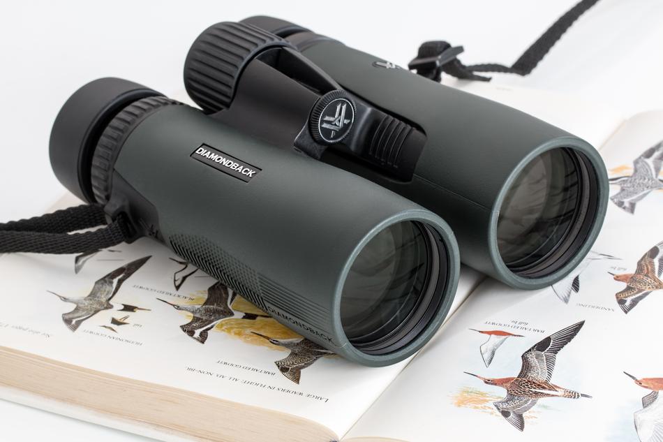 Birdwatching, Binoculars over book with pictures of birds