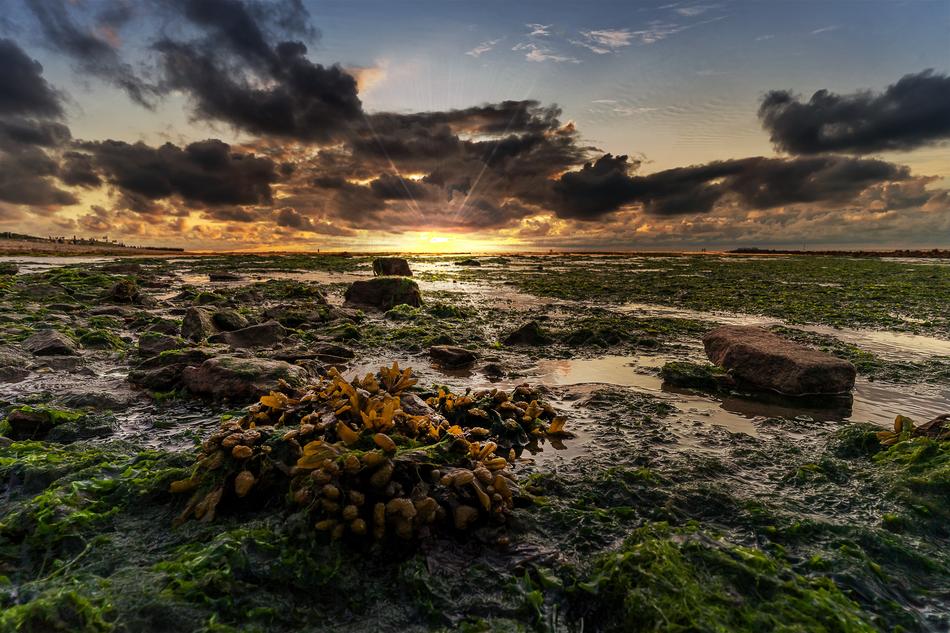 Nature Landscape Sunset