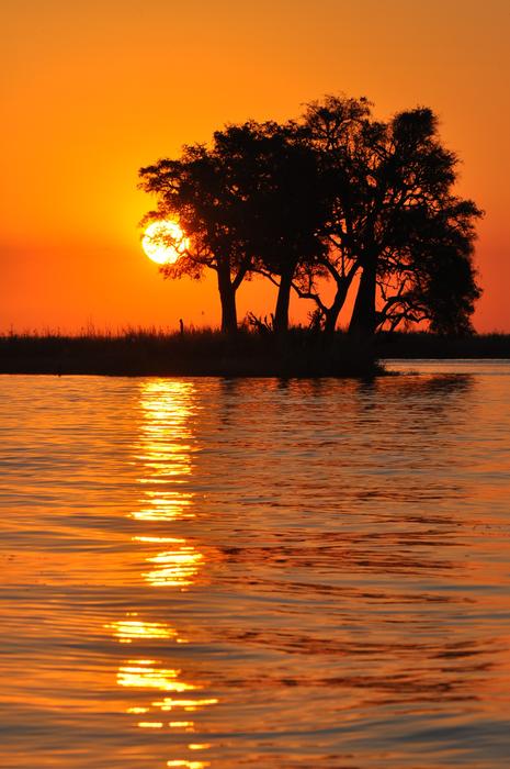 distant view of trees near water at orange dusk