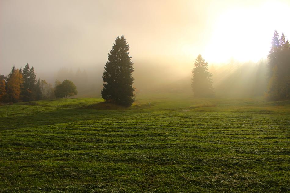 Light Through Clouds