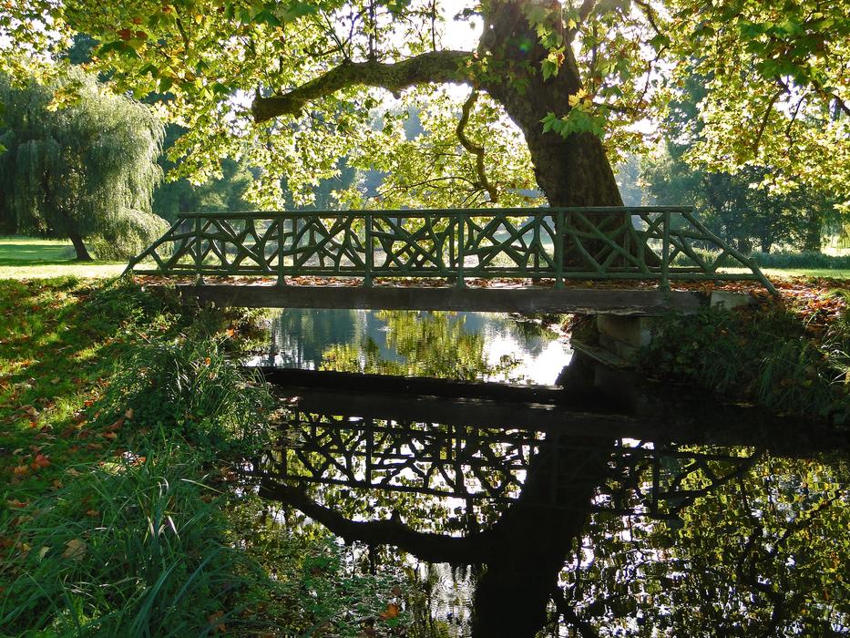 Water Reflections Bridge and tree