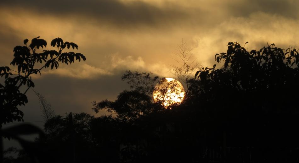 Beautiful view of the sunset, behind the silhouettes of the trees, under the clouds, in Armenia
