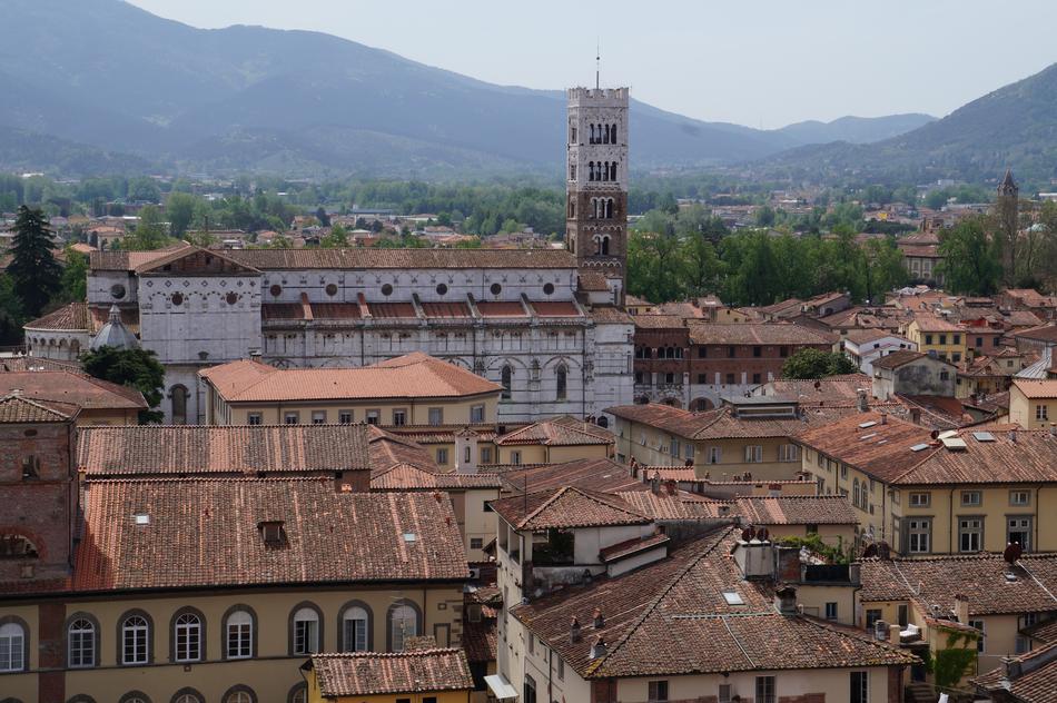 Beautiful landscape of Lucca, Tuscany, Italy, with green trees, near the mountains