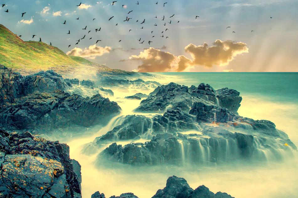 flock of birds over Coastline, digital art