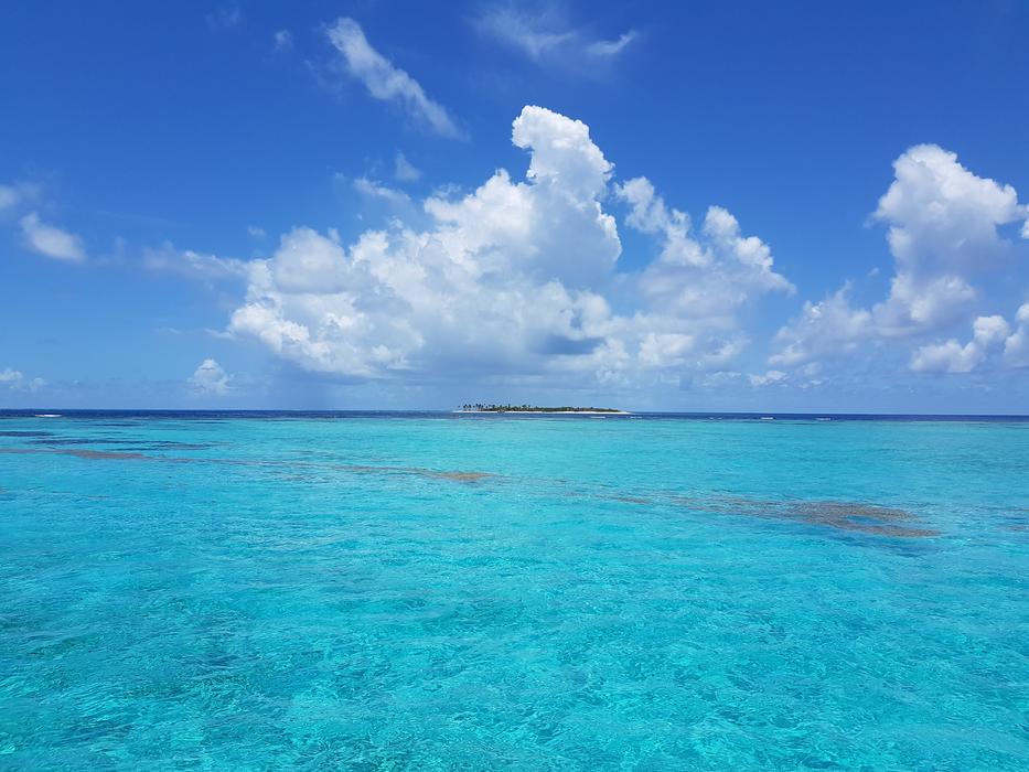 Tobago Cays Tropical Grenadines