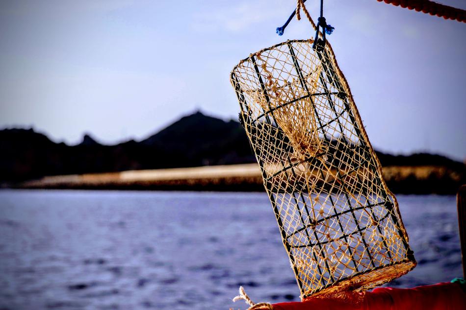 Nassa Sea Fishing