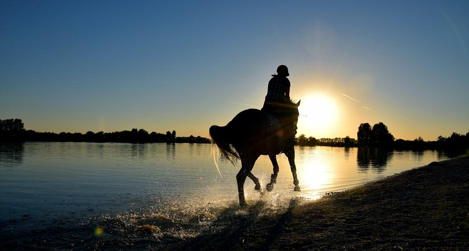 rider on horse runs on the coast during sunset