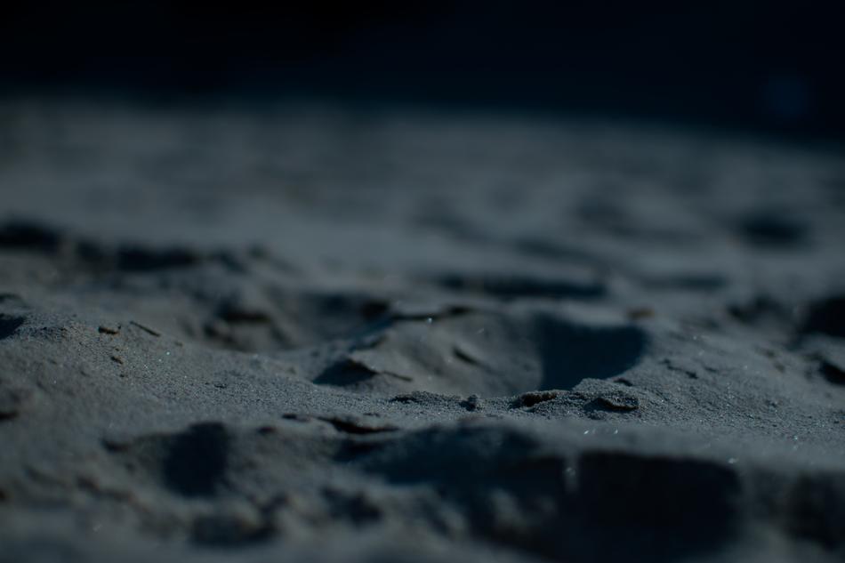 Beach Close-Up Dark