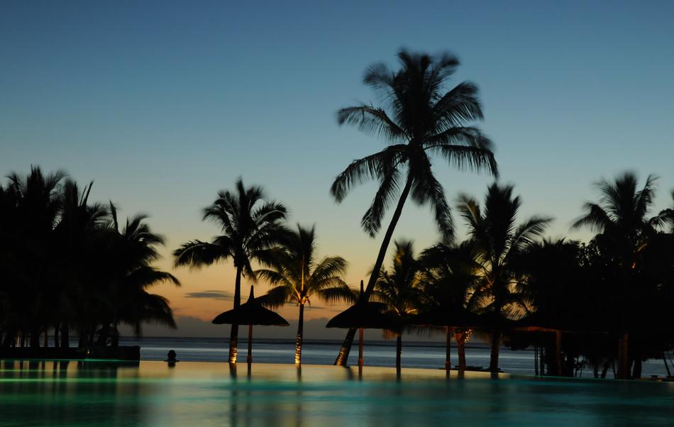 Trees Holidays Paradise