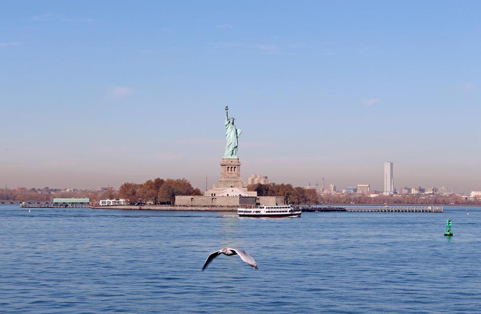 Statue Of Liberty and Seagull Sea