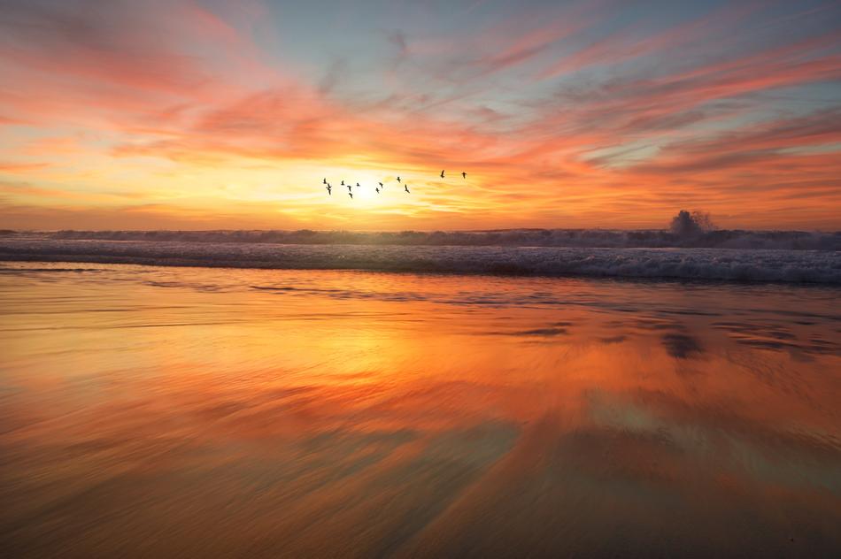 Beach Sand Water at sunset