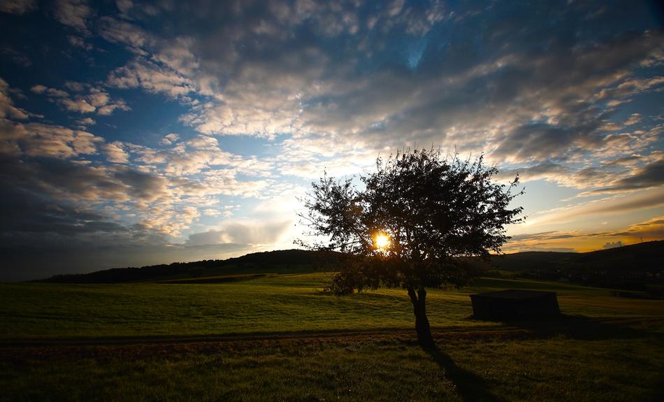 Clouds sky and tree on meadow