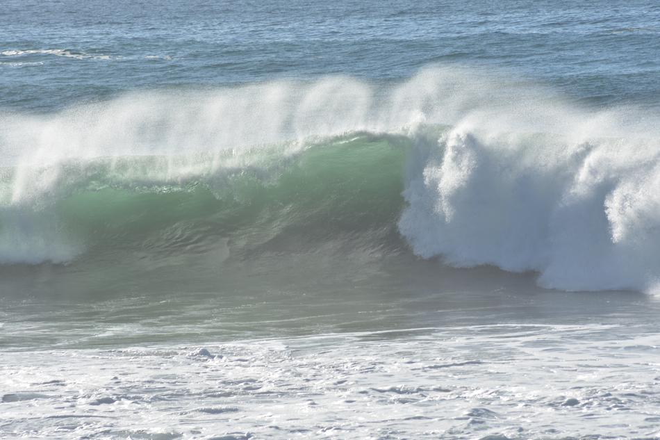wave with foam on the coast