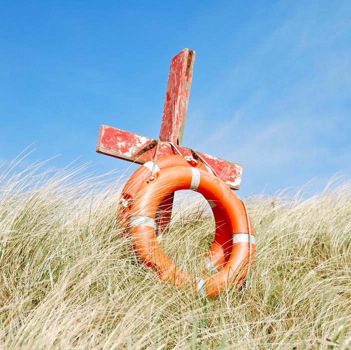 lifebuoy in the grass on the coast