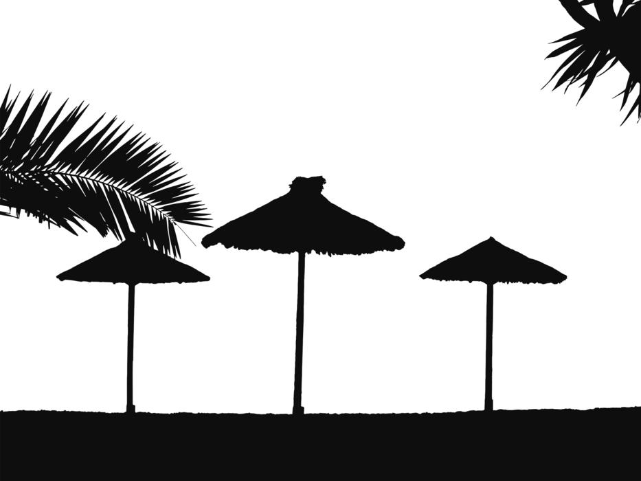 beach leaves silhouette