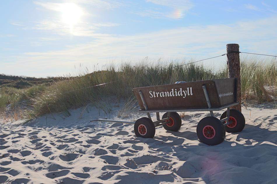 wooden cart on the sandy coast among the dunes
