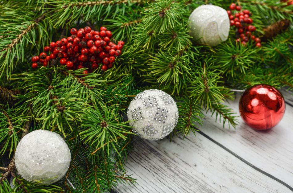 spruce branch with christmas balls and rowan