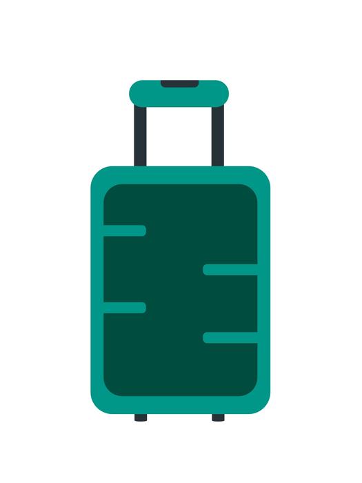 suitcase clothes activity bag