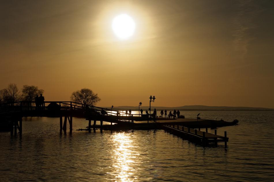 Landscape Nature Steinhuder Sea