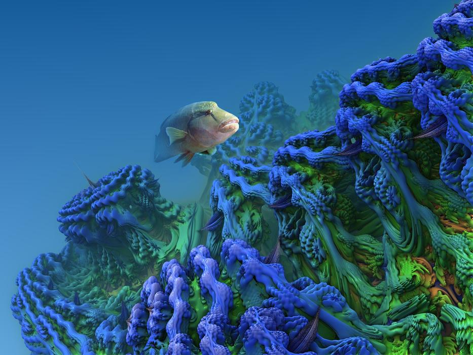 fractal composing nature underwater