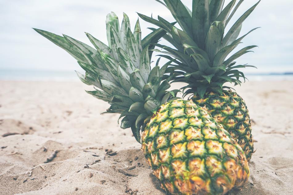 Close-up of the beautiful and colorful pineapples with green leaves, on the sandy beach