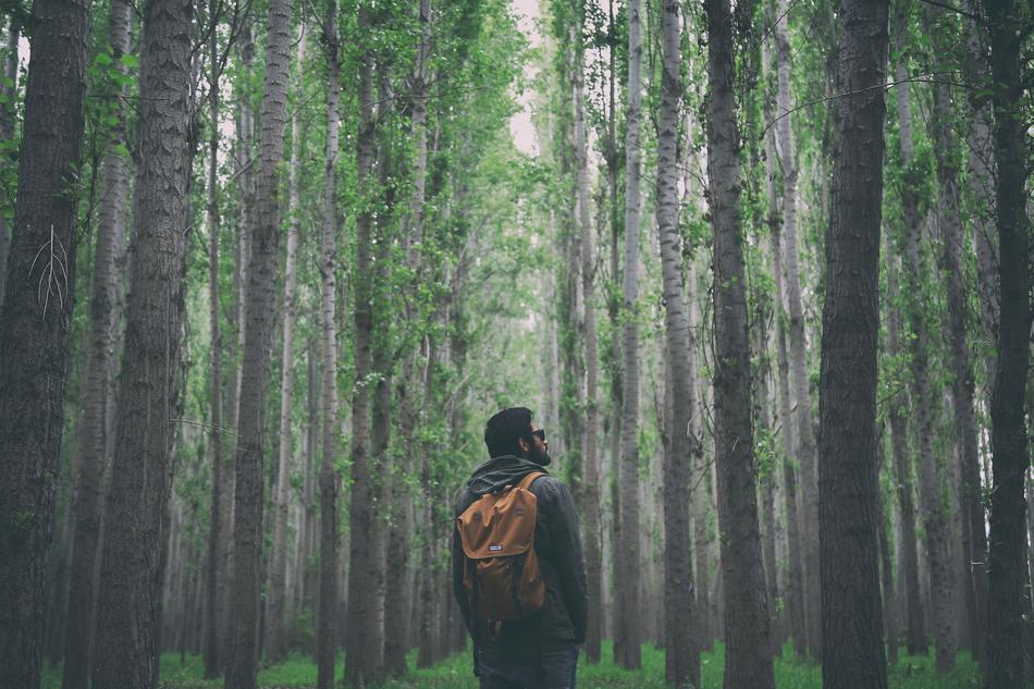 man with backpack in foggy Forest