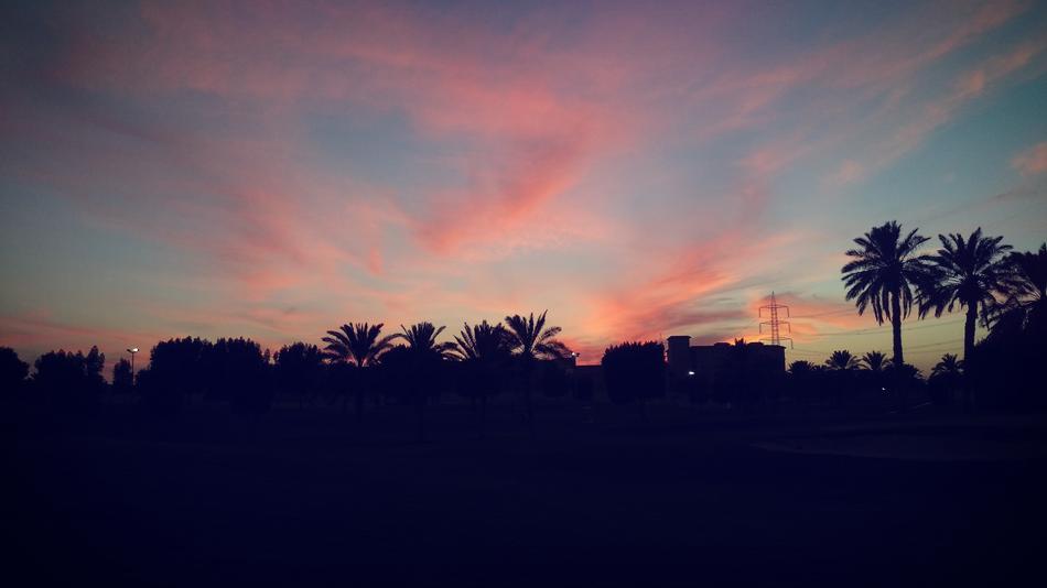 Picturesque Clouds Palm Trees