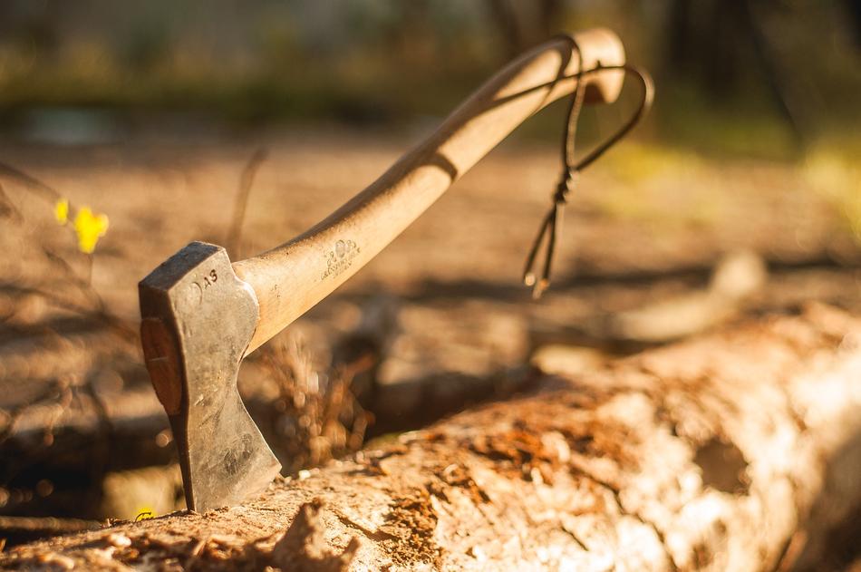 axe in fallen tree trunk, Tourism, Camping, concept