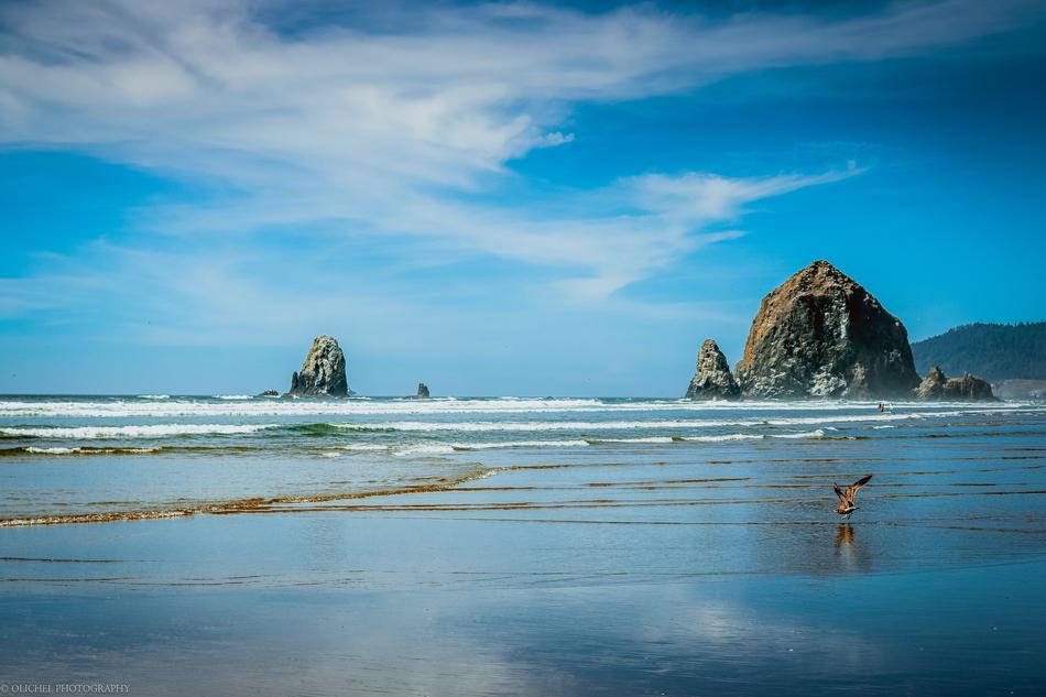 rocks in the ocean in the morning