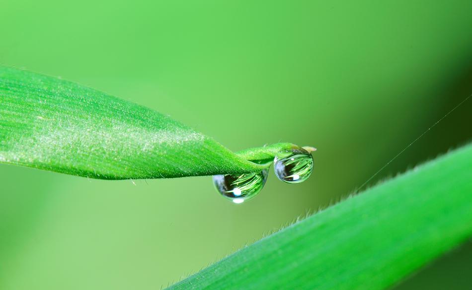 closeup view of Nature Water Creek