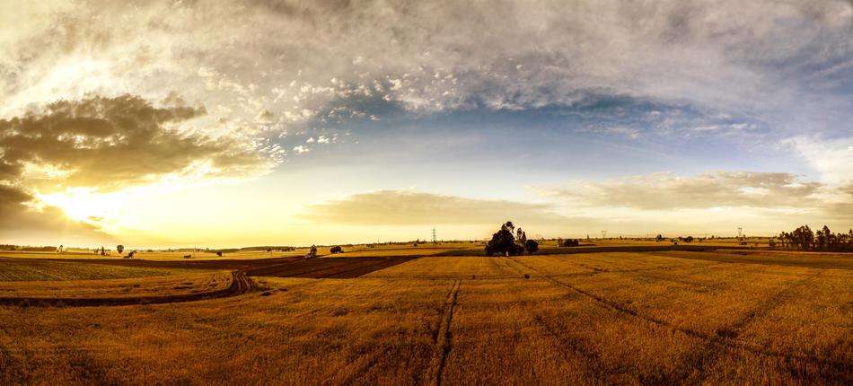 Panoramic view of Nature Landscape agriculture