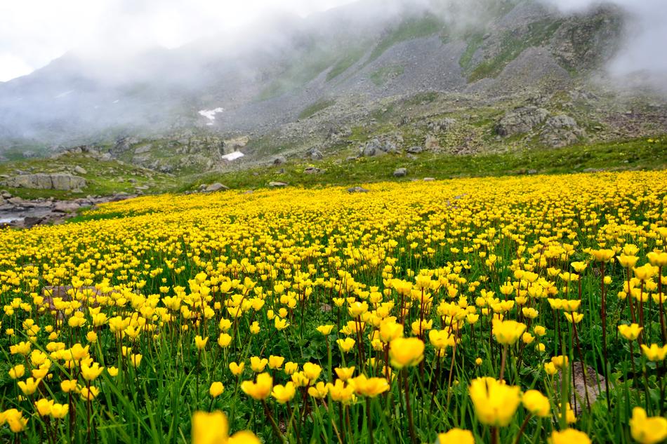 Nature Landscape Kaçkars