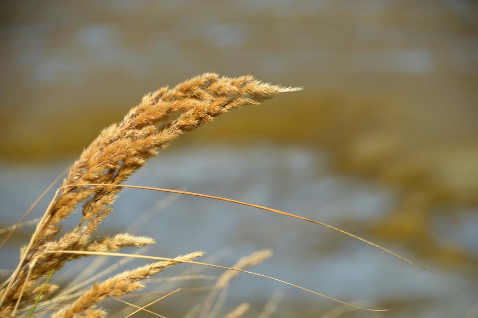 Sea Beach Hauts De France
