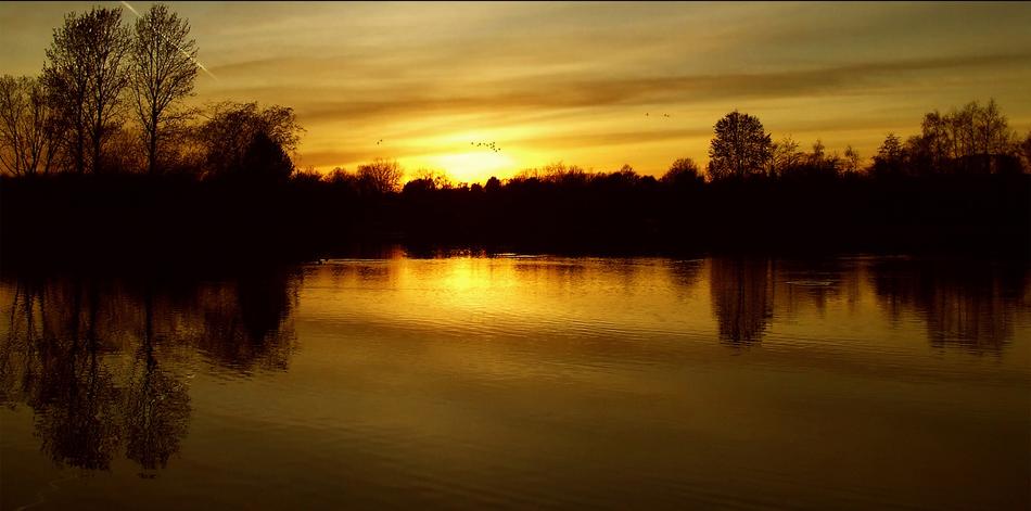 Sunset In The Britzer Garden