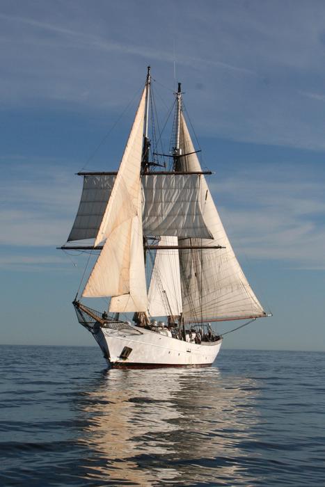 Clipper Sail Boat