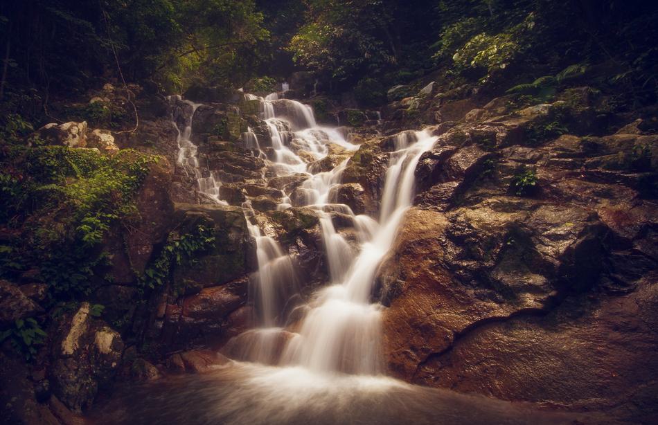 jungle cascading waterfall