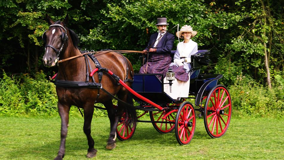 horse carriage on the green trail
