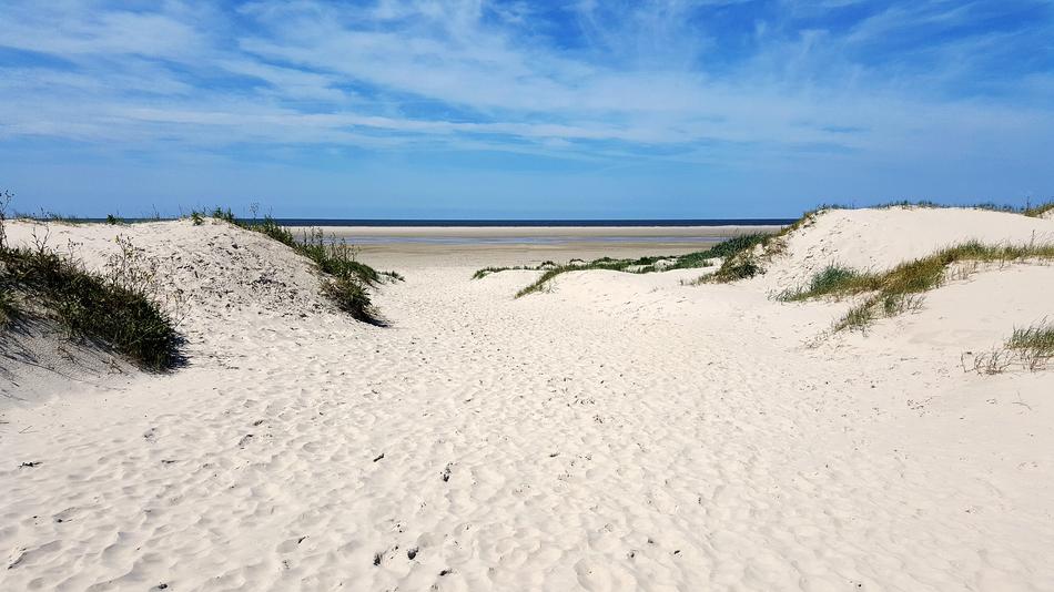 Beach By The North Sea