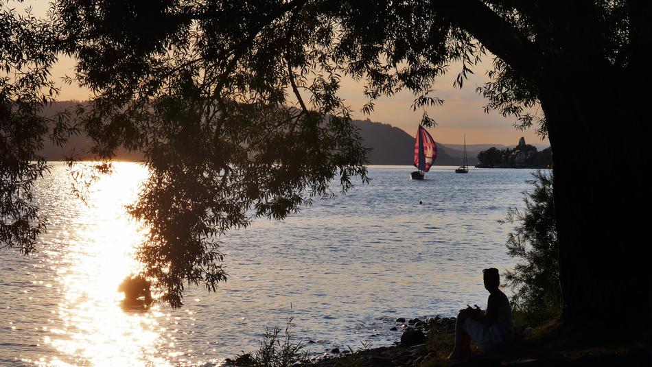 a girl under a tree looks at sailing boats on Lake Constance