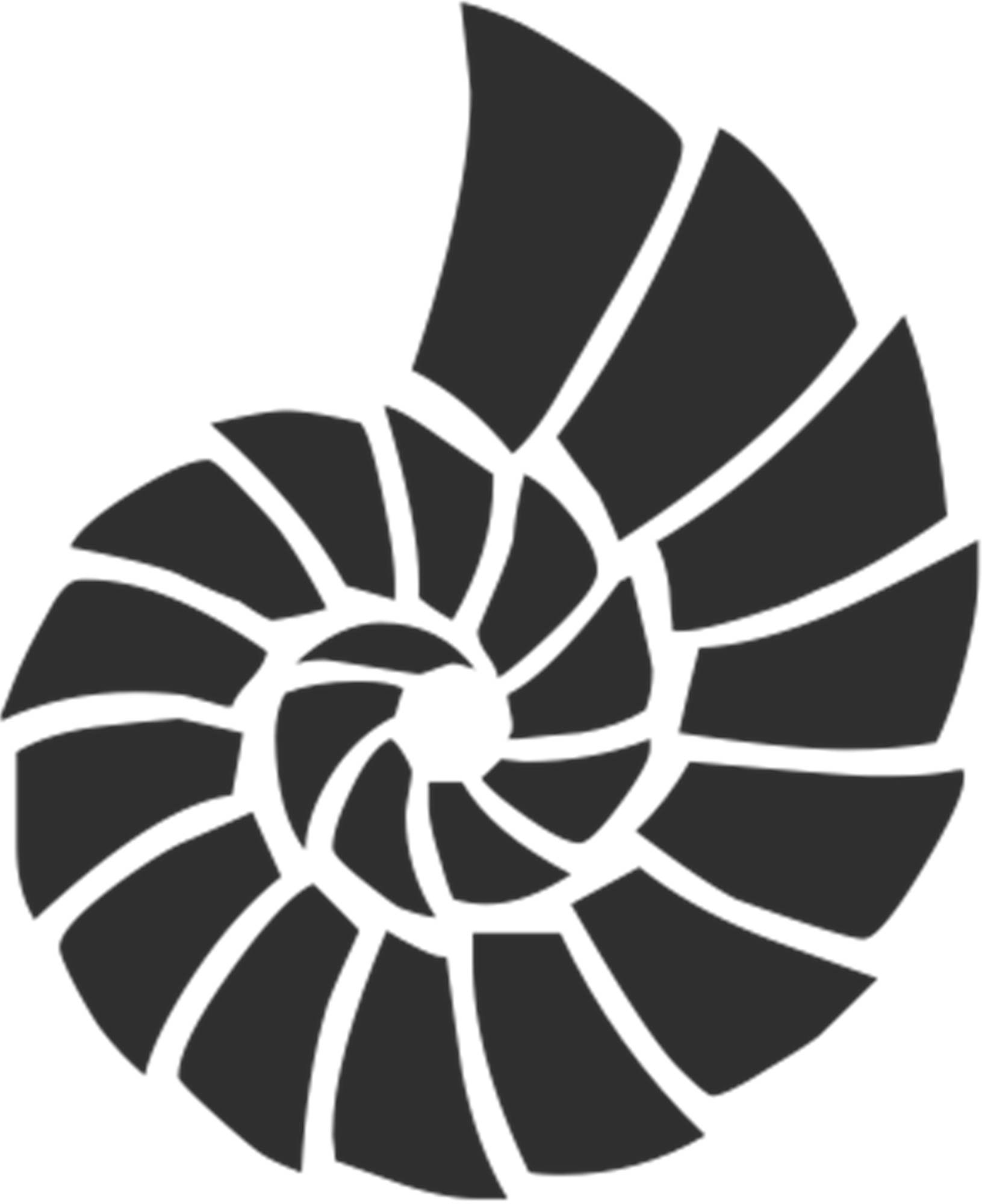 Shell design. Ракушка значок. Ракушка трафарет. Трафарет морские раковины. Ракушка пиктограмма.
