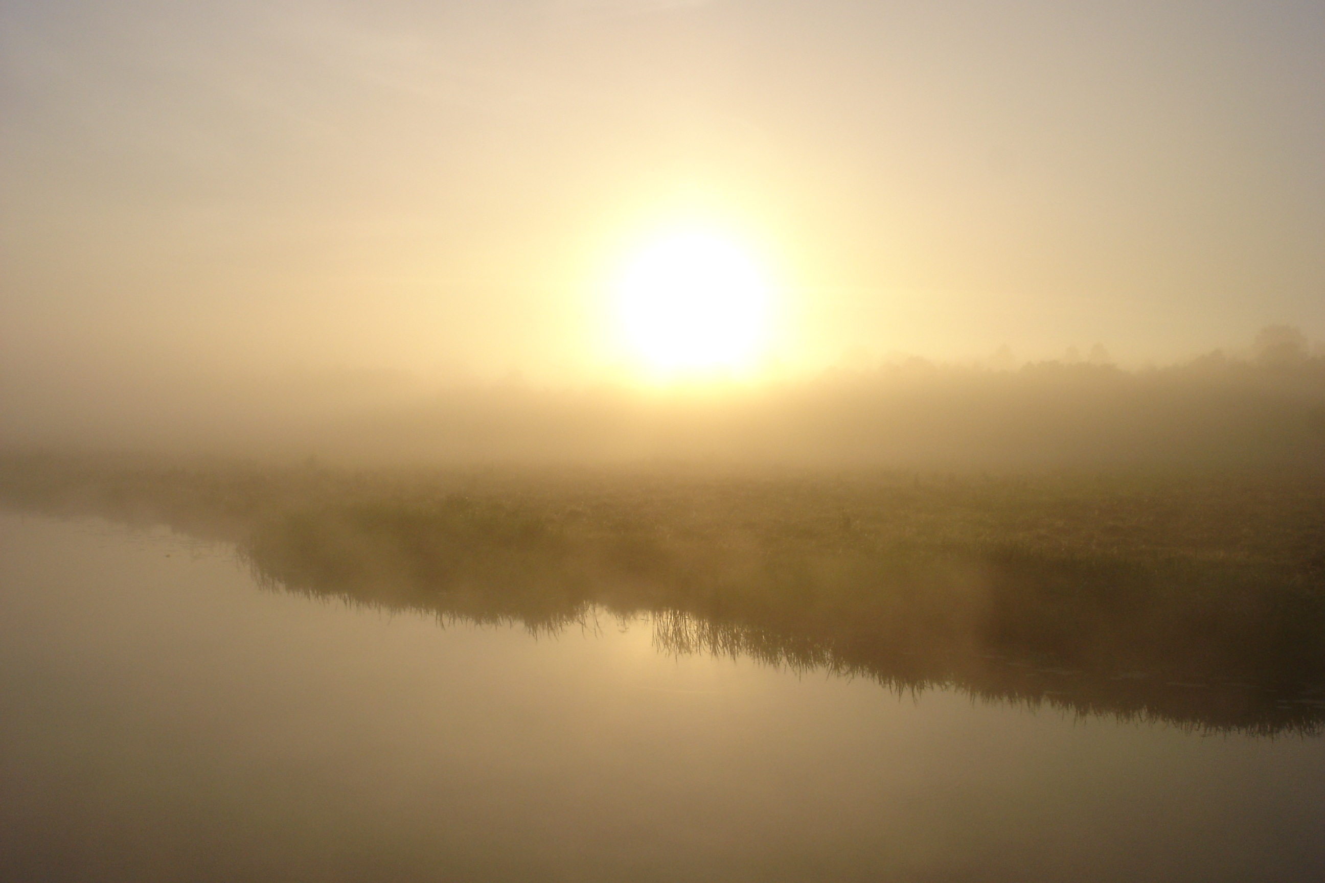 Morning Fog Sun Free Image Download