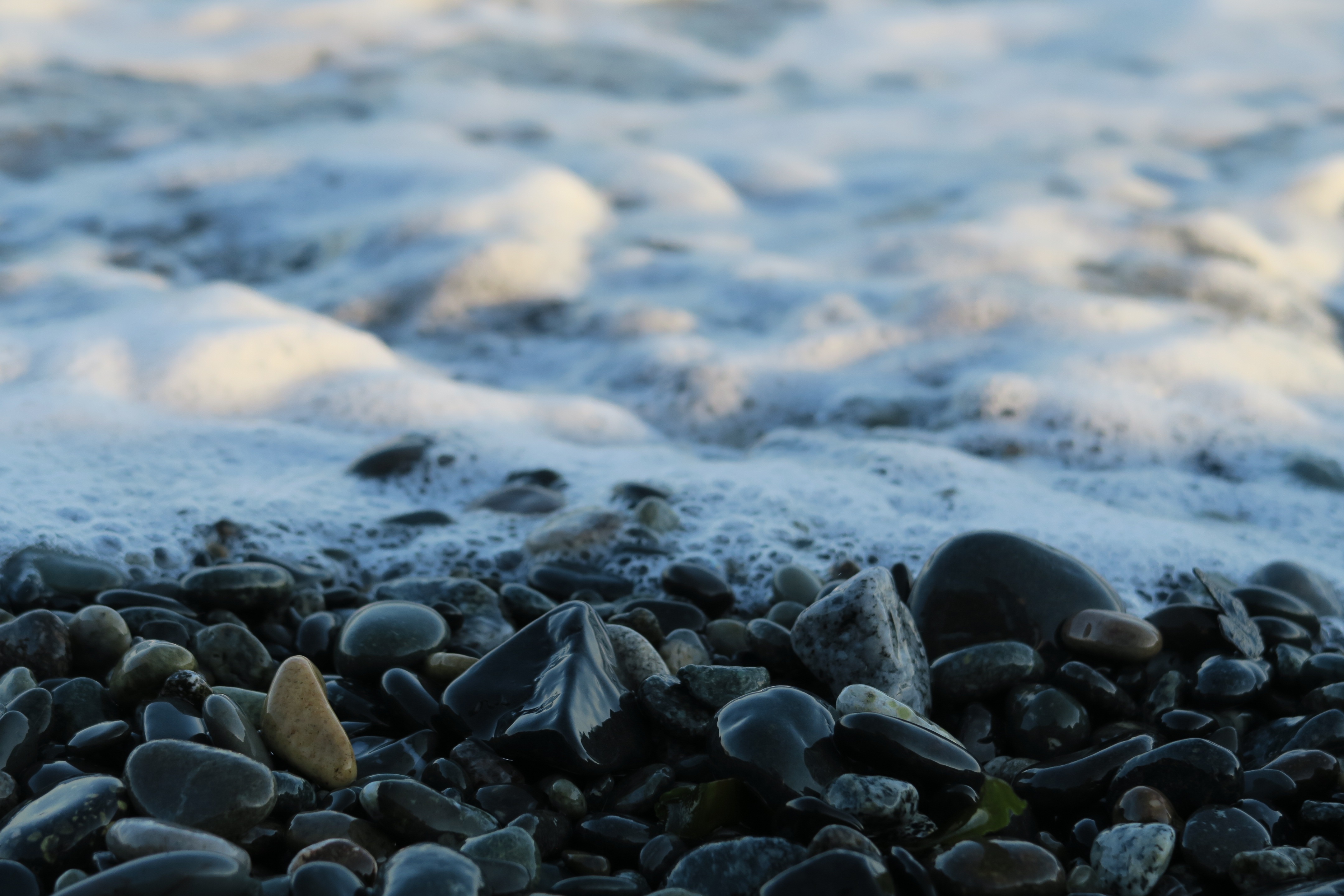 Sea Stones Canada free image download