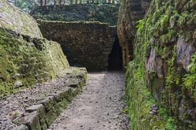 stone building with green plants on the walls